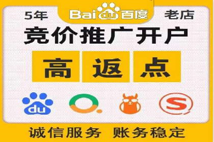 揭秘百度竞价代理：实战案例分析